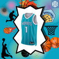 Charlotte Hornets Jordan Icon Edition Jersey